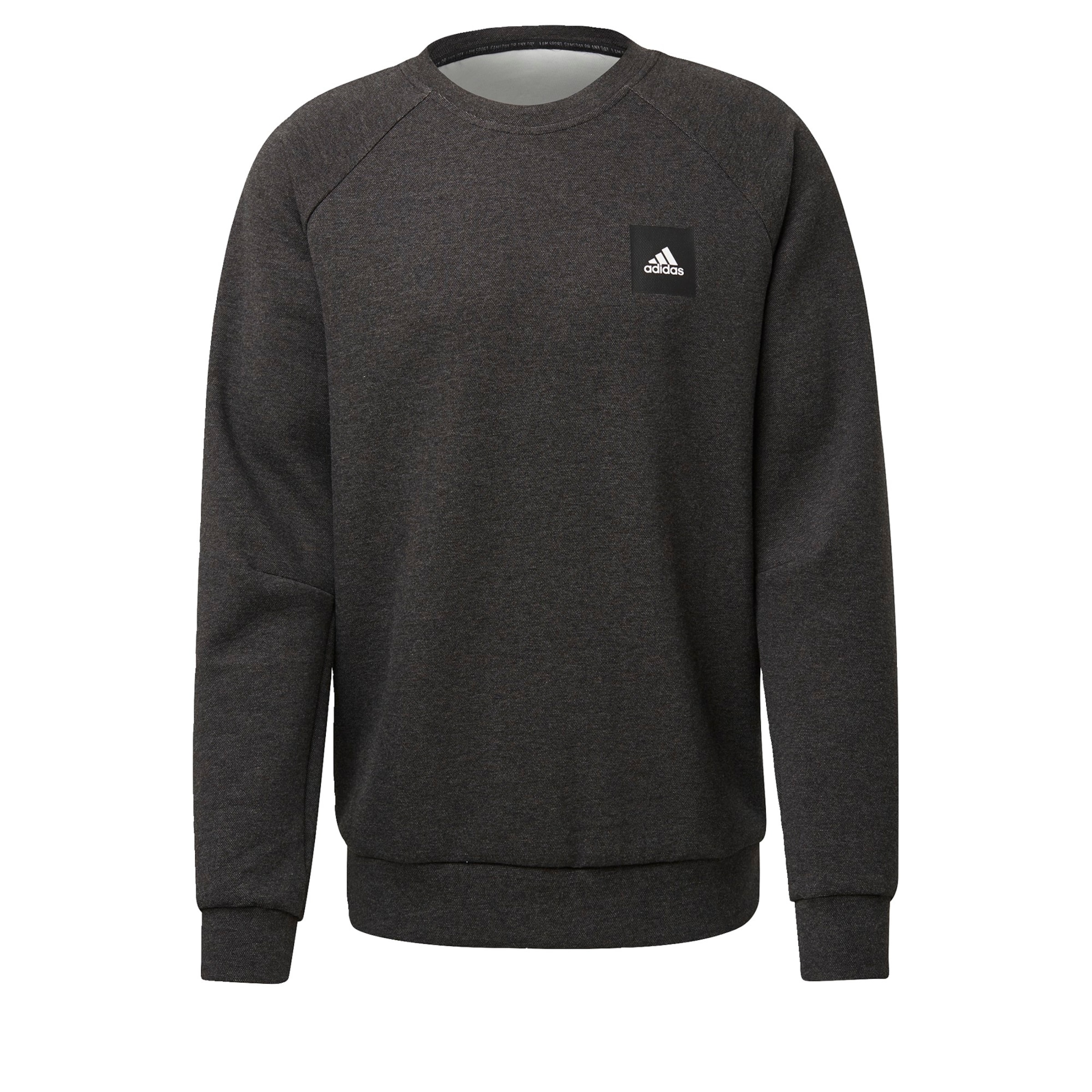 ADIDAS PERFORMANCE Sweatshirt in Schwarz: Vorderseite
