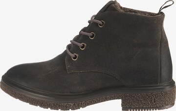 ECCO Lace-Up Ankle Boots in Brown