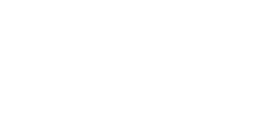 THE NORTH FACE Logo