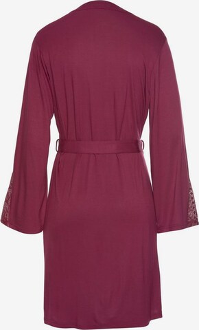 LASCANA Dressing gown in Purple