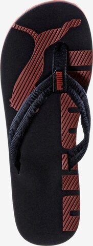 PUMA T-Bar Sandals 'Epic Flip V2' in Black