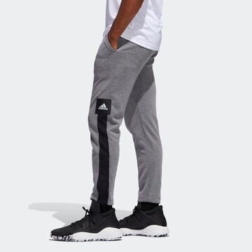 Regular Pantalon de sport ADIDAS PERFORMANCE en gris