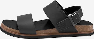 TIMBERLAND Sandals in Black: front