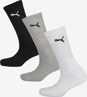 PUMA Socks in Mixed colors: front