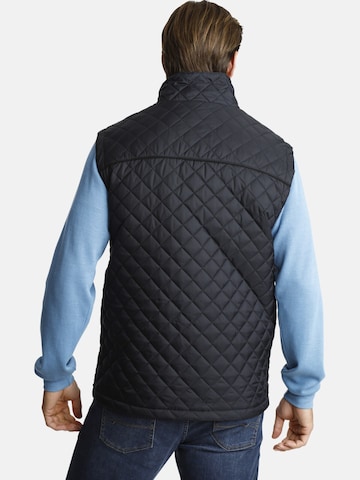 Gilet 'Rodewin' Jan Vanderstorm en bleu