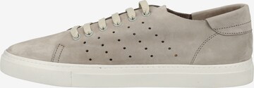 Darkwood Sneaker in Grau