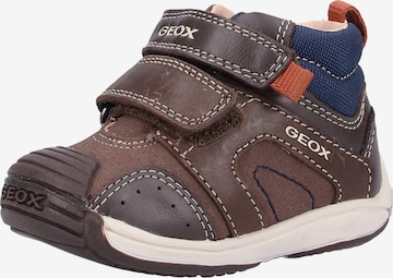 GEOX Sneaker in Brown: front