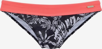 SUNSEEKER Bikini Bottoms in Black: front