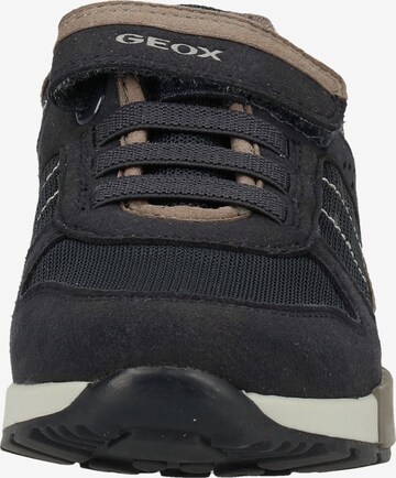 GEOX Sneaker in Blau