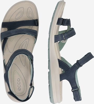 ECCO Trekking sandal 'Cruise II' in Blue