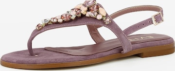 EVITA T-Bar Sandals 'OLIMPIA' in Purple: front