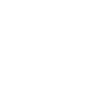 RAINS Logo