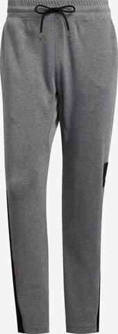 Regular Pantalon de sport ADIDAS PERFORMANCE en gris : devant