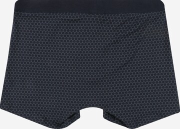 SCHIESSER Shorts in Blau: zadná strana