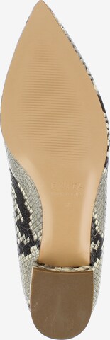 EVITA Pumps in Grau