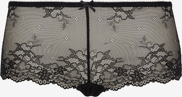LingaDore Panty 'DAILY LACE' in Black: front