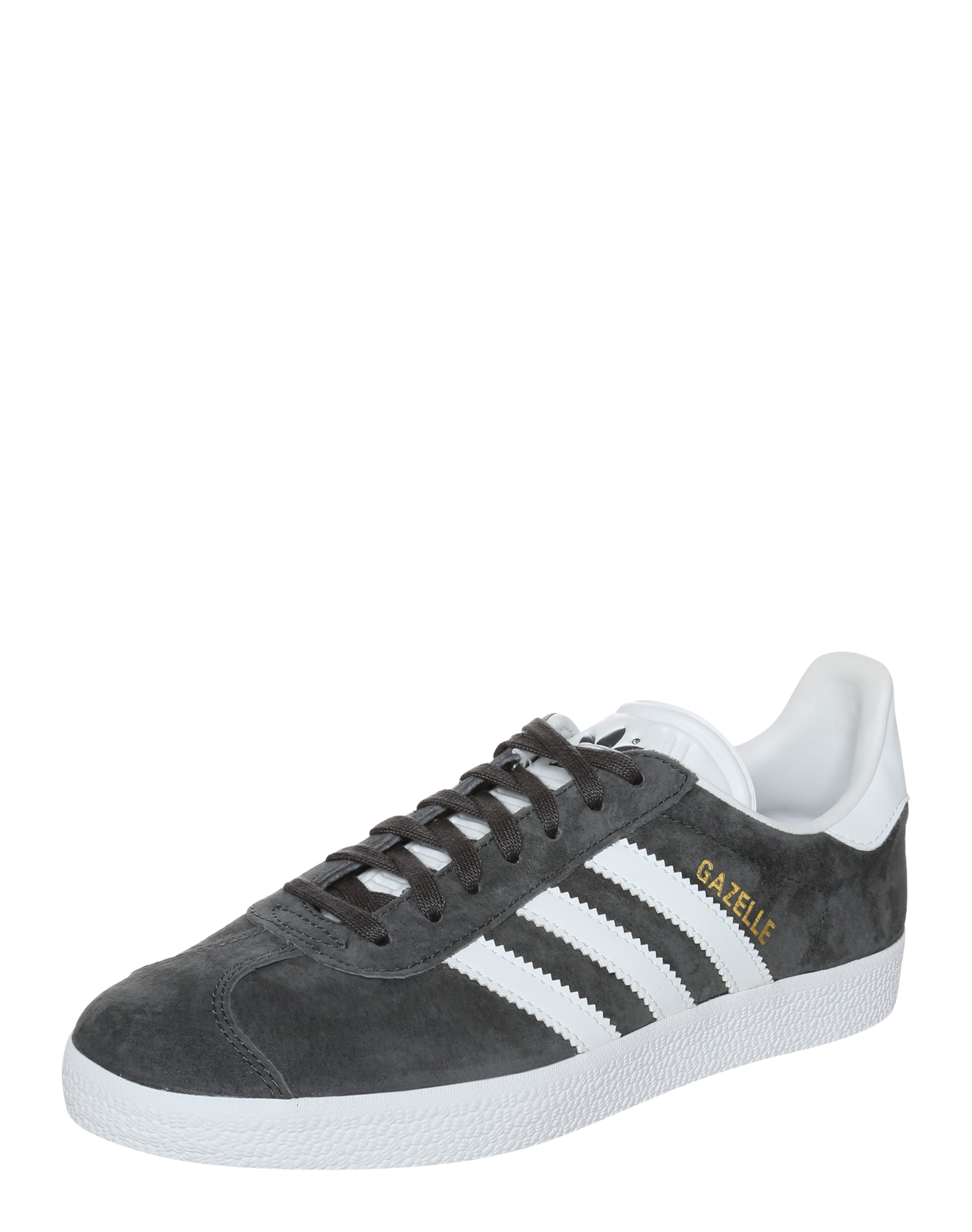 gazelle gris foncé