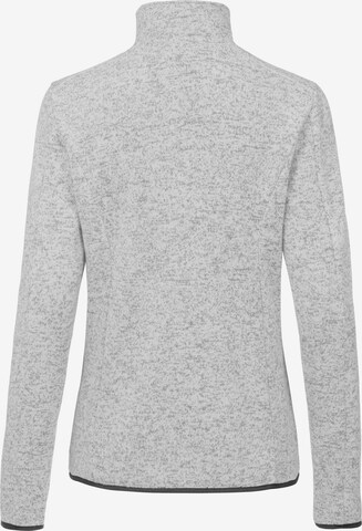 Whistler Athletic Fleece Jacket 'Maleo' in Grey