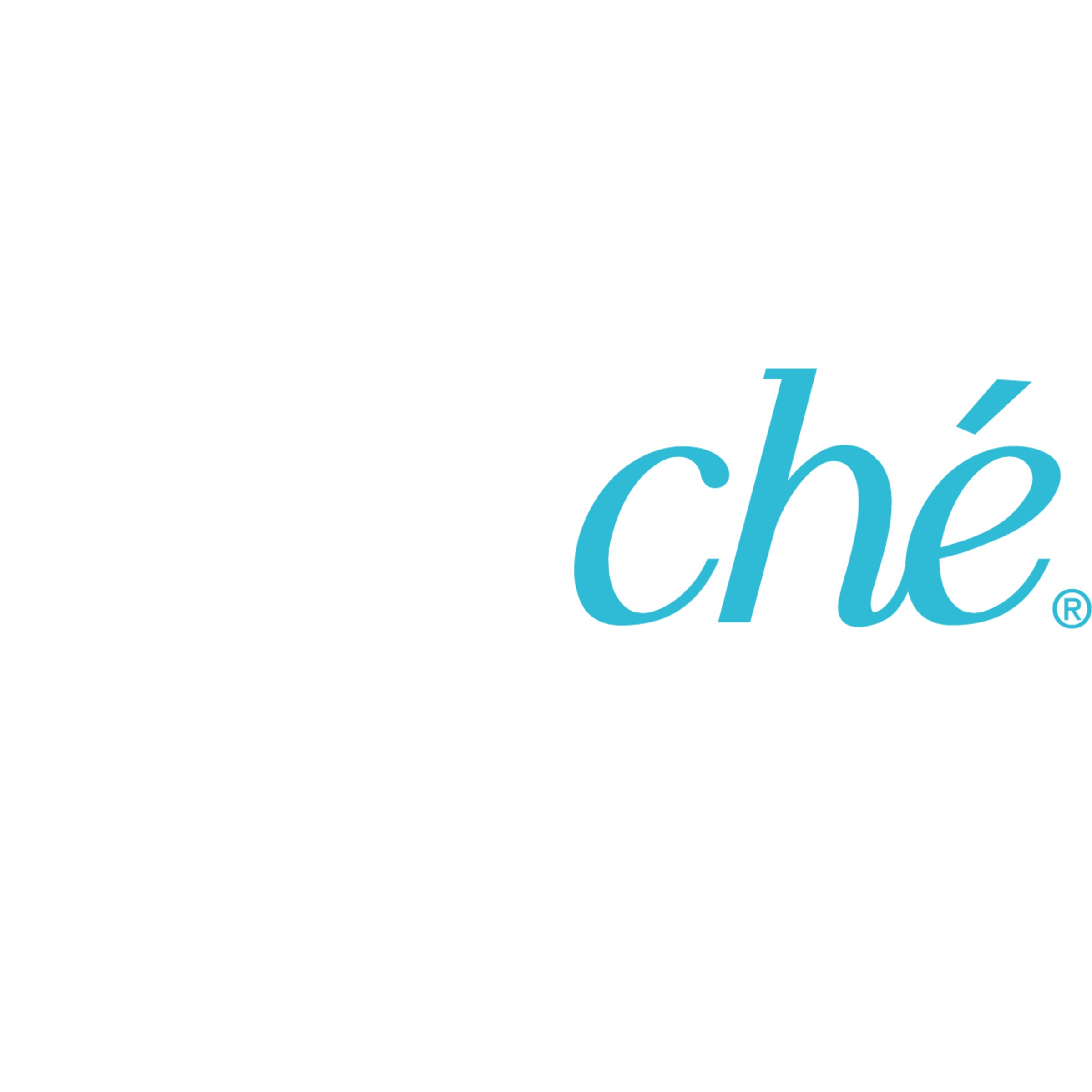 TOOche Logo