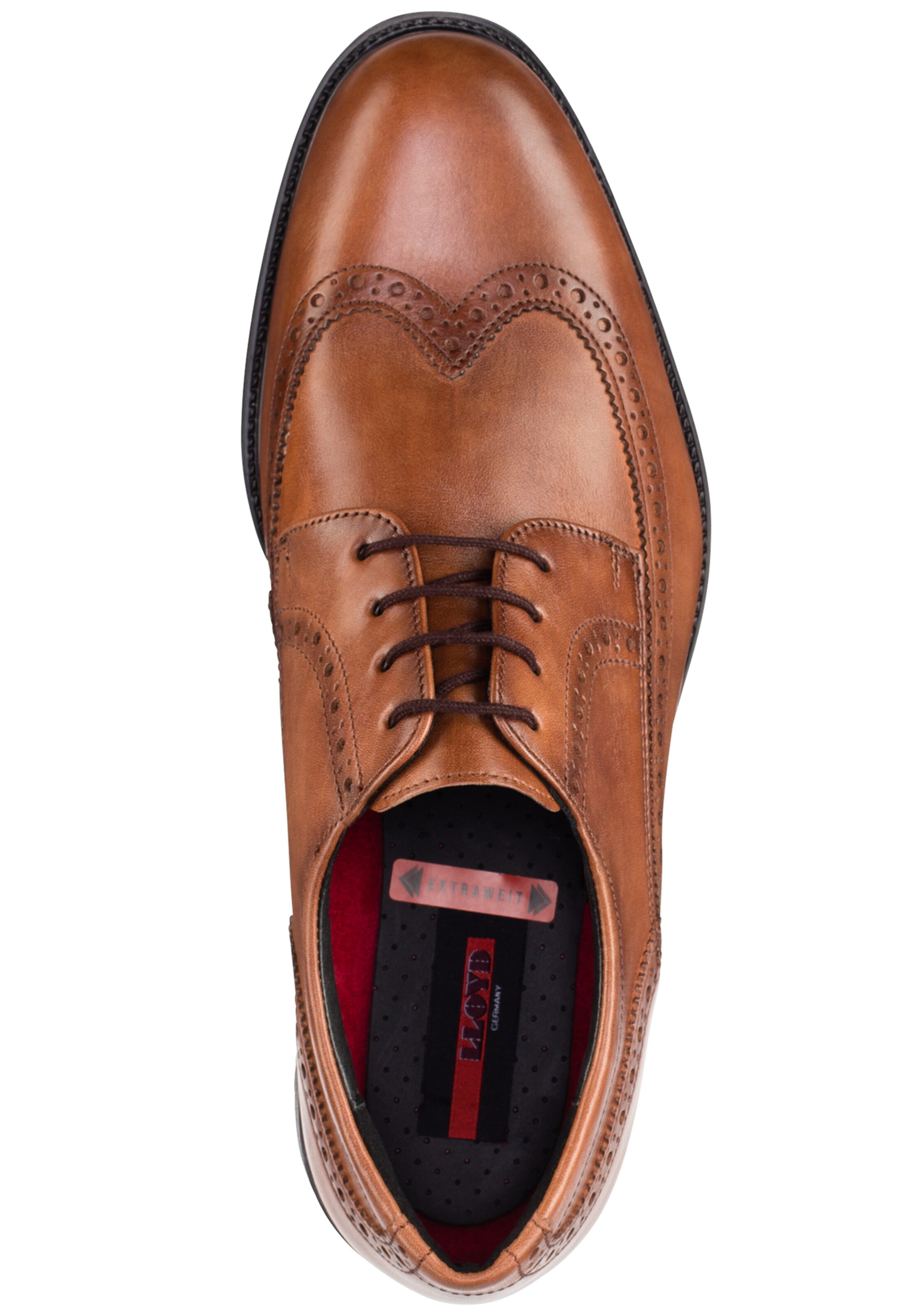 Chaussure à lacets 'Kaleb' LLOYD en marron