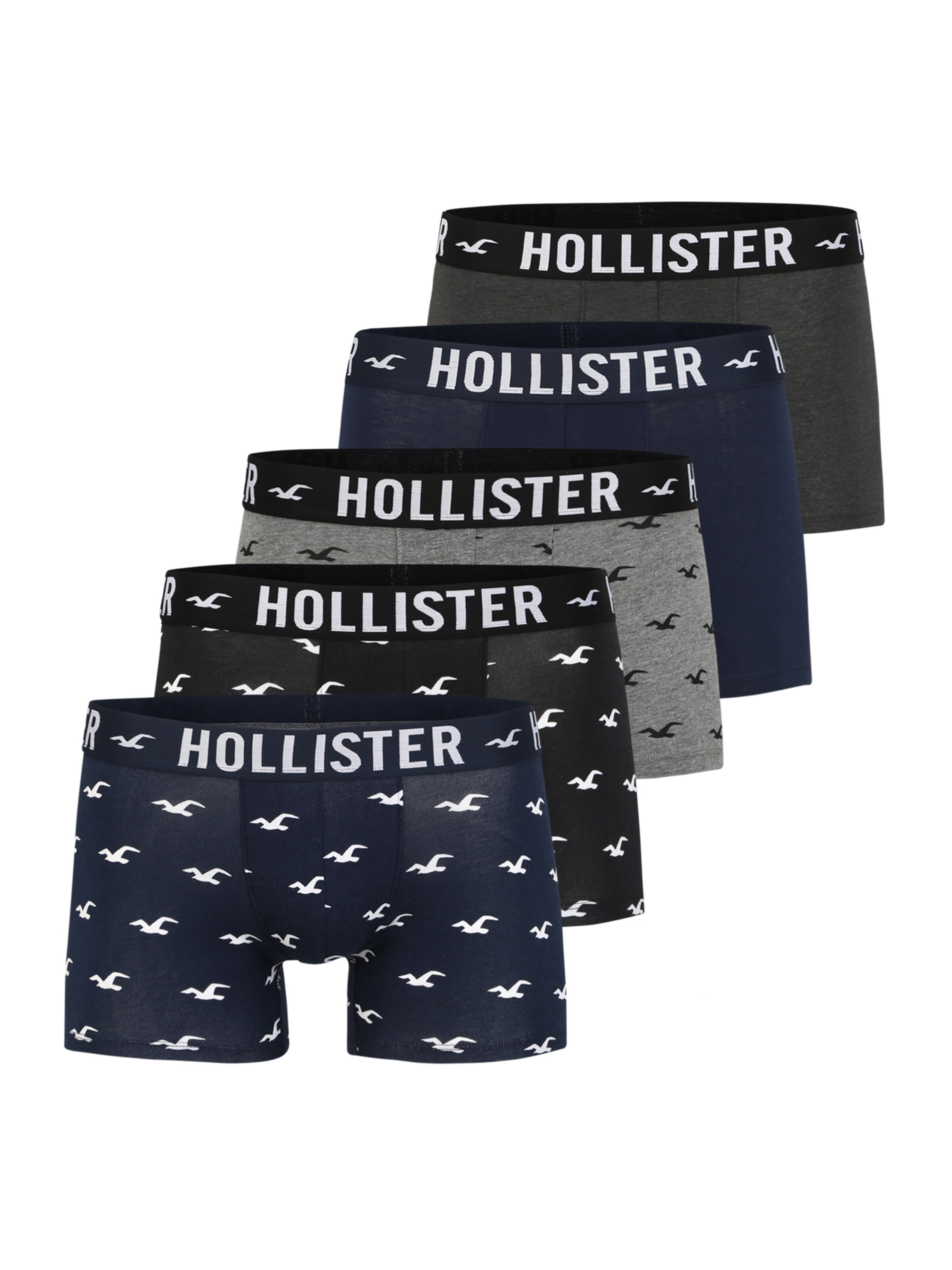 calecon hollister