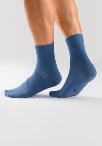 H.I.S Socks in Blue: front