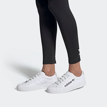 ADIDAS ORIGINALS Låg sneaker i vit