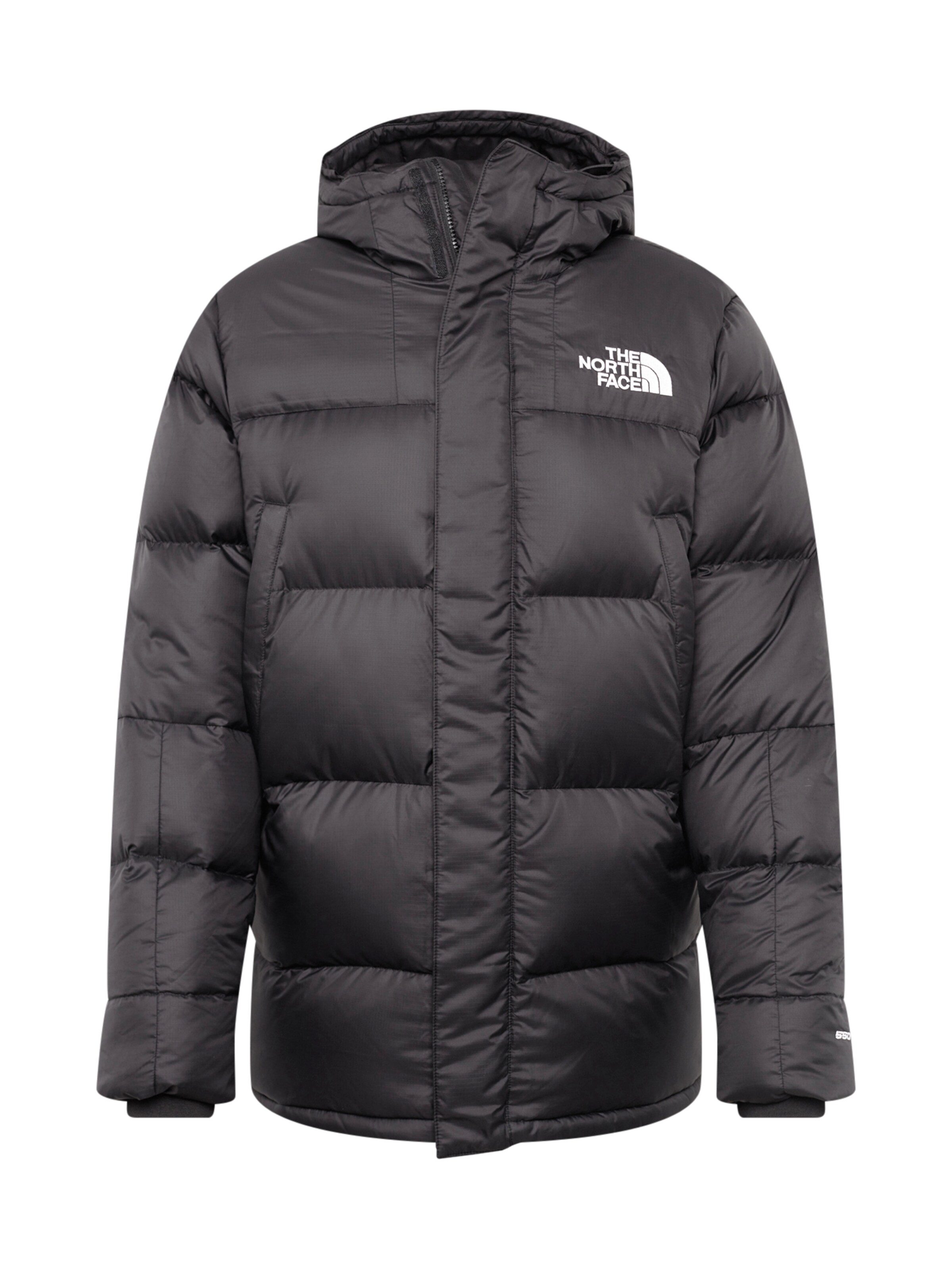 THE NORTH FACE - Winterjas 'Deptford' in de kleur Donkergrijs