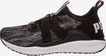 PUMA Sneaker 'Ignite evoKNIT Lo 2' in Schwarz