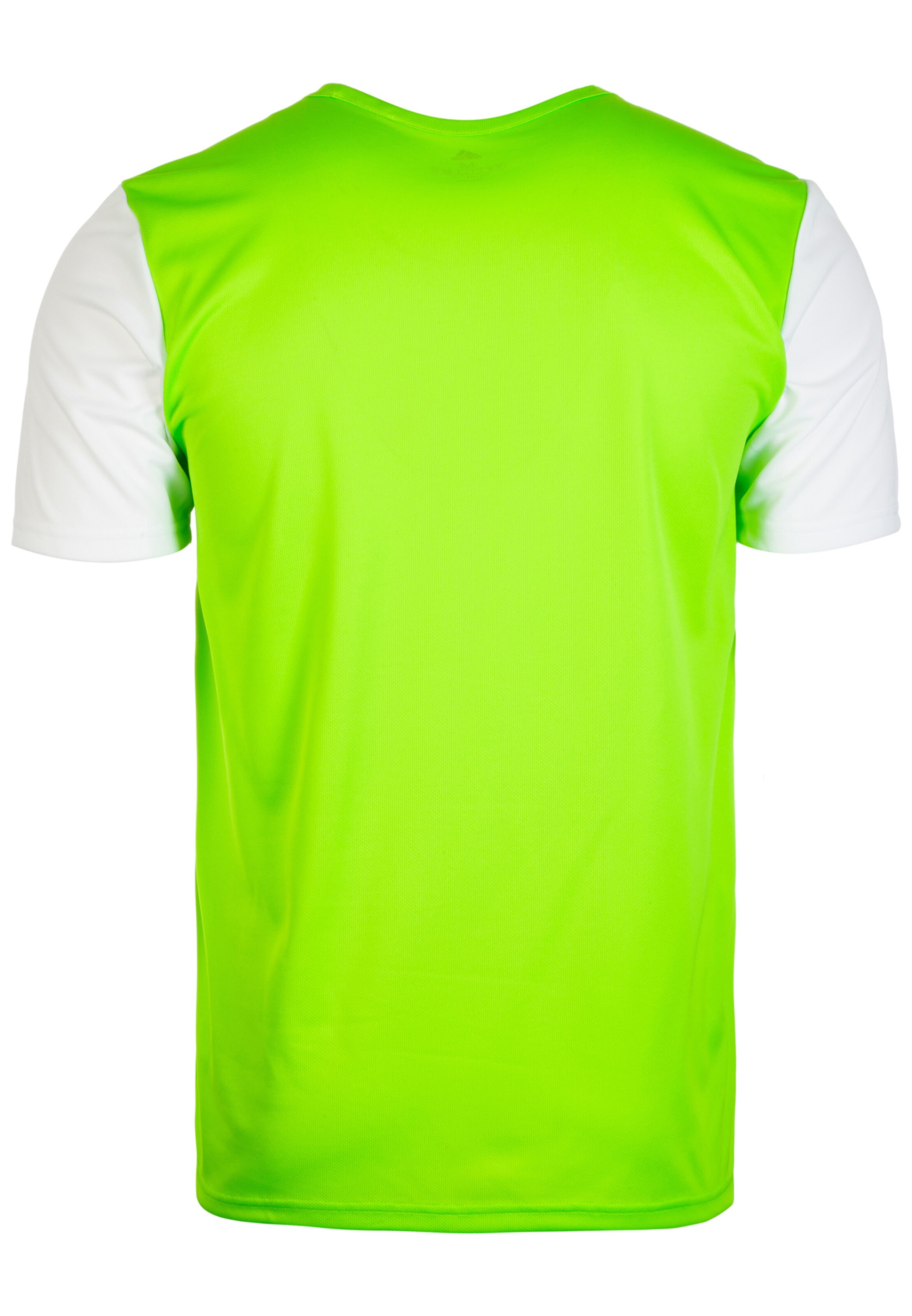 ADIDAS SPORTSWEAR Jersey 'Estro 19' in Green