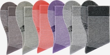 H.I.S Damensocken (6 Paar) in Grau: predná strana