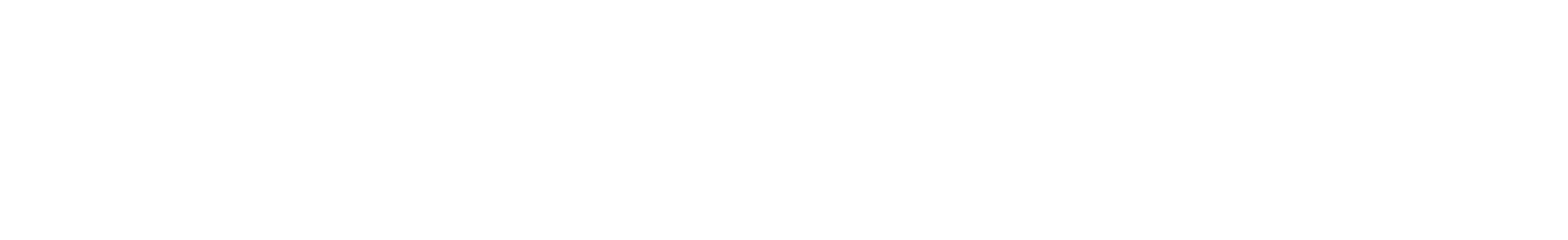 Finn Flare Logo