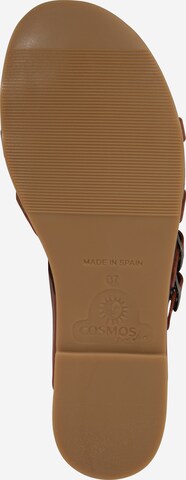 Tongs COSMOS COMFORT en marron