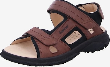 Ganter Hiking Sandals in Brown: front