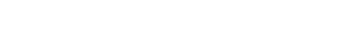 ENDURANCE Logo