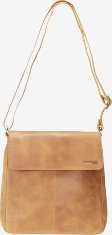 Greenland Nature Shoulder Bag in Brown: front