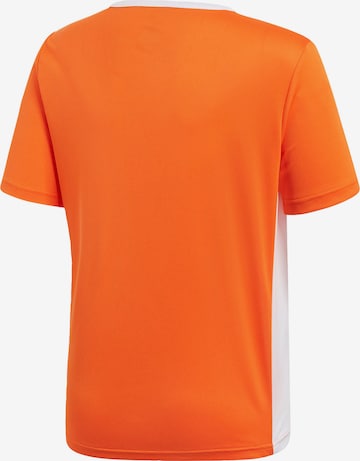 ADIDAS PERFORMANCE Performance Shirt 'Entrada 18' in Orange