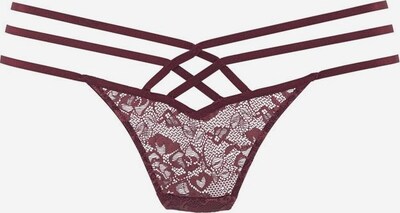 LASCANA Thong in Berry, Item view