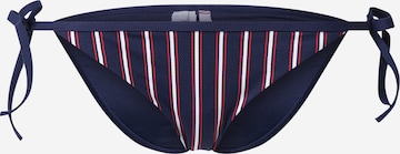 Tommy Hilfiger Underwear Bikini Bottoms in Blue: front