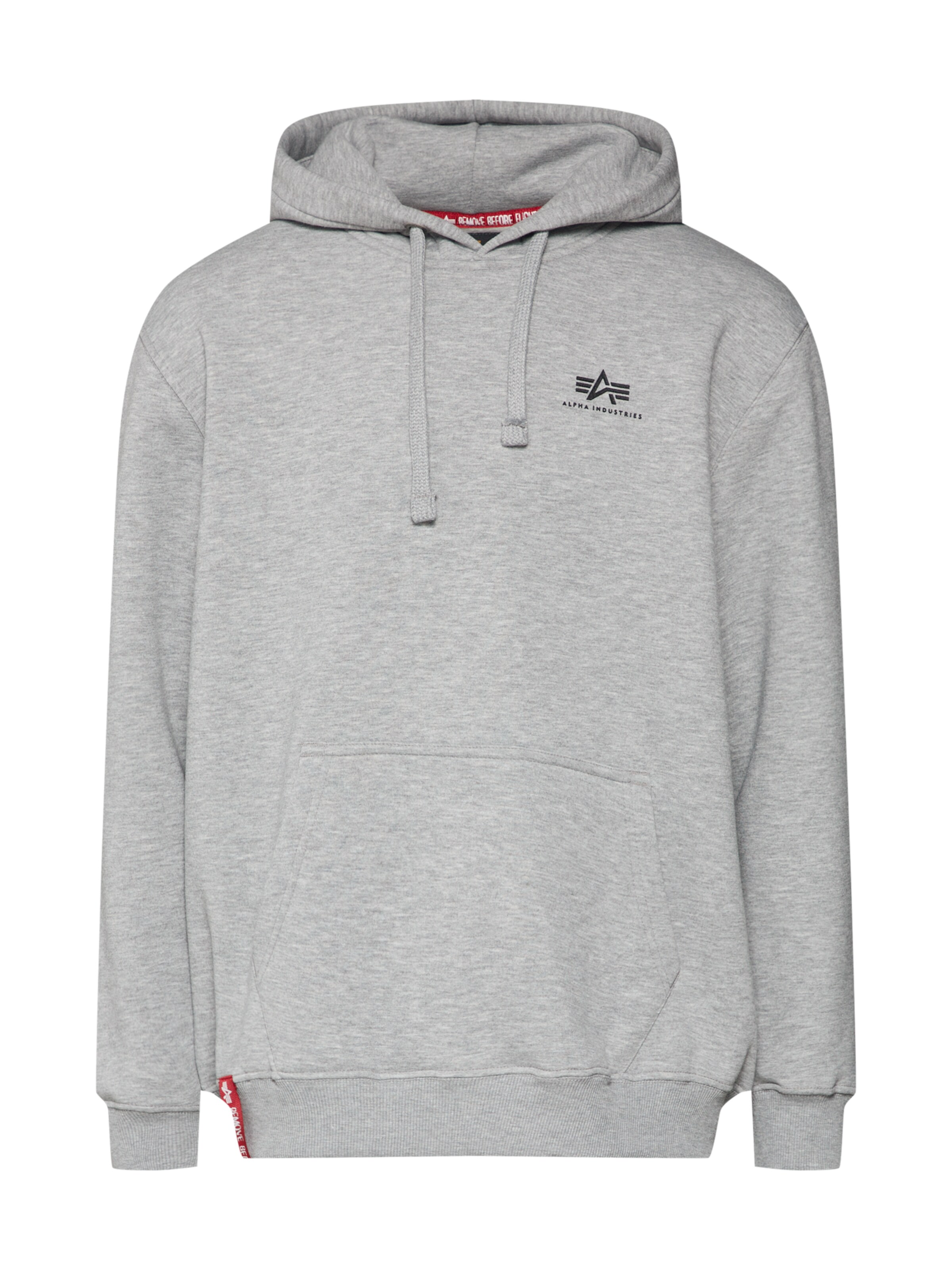 ALPHA INDUSTRIES Sweatshirt i grå: framsida