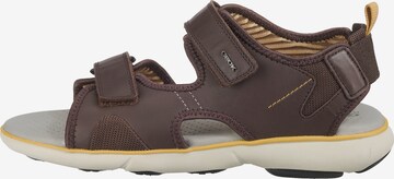 Sandales GEOX en marron