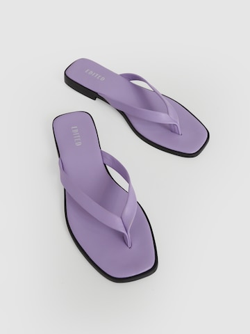 EDITED T-Bar Sandals 'Mayia' in Purple