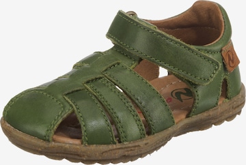 NATURINO Sandals & Slippers in Green: front