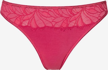 VIVANCE Panty in Mixed colors