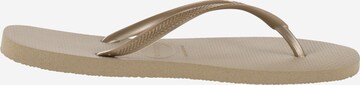 HAVAIANAS Zehensandale 'SLIM' in Beige