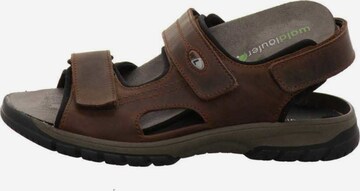 WALDLÄUFER Hiking Sandals in Brown