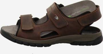 WALDLÄUFER Hiking Sandals in Brown