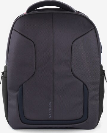 Roncato Backpack in Blue: front