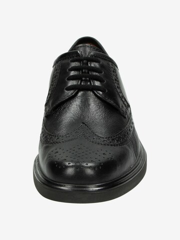 SIOUX Lace-Up Shoes 'Pacco' in Black