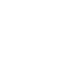 TATA Italia Logo